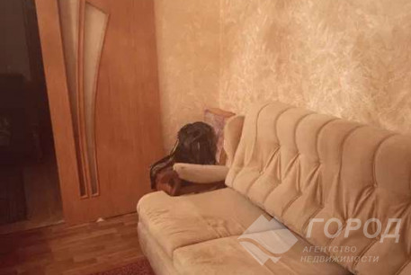 Сдам 2-х кімнатну квартиру, Новые дома, Маршала Жукова метро (Дворец спорта), Код: 812030/1