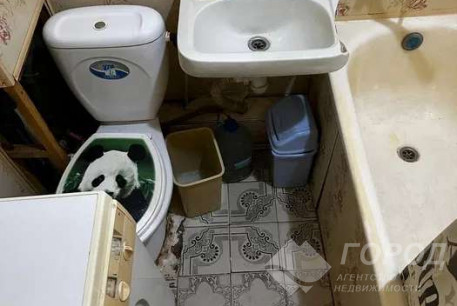 Сдам 1-кімнатну квартиру, Алексеевка, Победа метро, Код: 812177/1