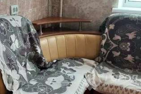 Сдам 2-х кімнатну квартиру, Рогань, Горизонт, Код: 812393/1