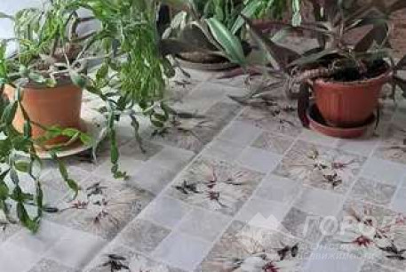 Сдам 1-кімнатну квартиру, Старая Салтовка, Код: 812443/1