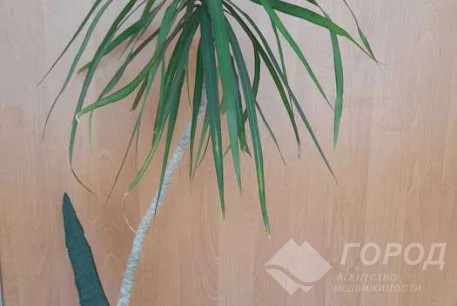 Продам 2-х кімнатну квартиру, Алексеевка, Код: 812450/1