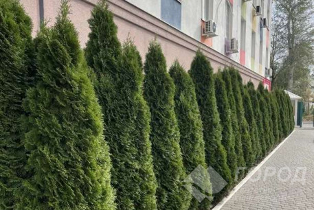 Продам гостинку, Салтовка, Академика Павлова метро, Код: 812510/2