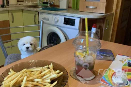 Сдам 2-х кімнатну квартиру, Новые дома, Маршала Жукова метро (Дворец спорта), Код: 812640/1