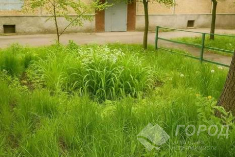 Продам 1-кімнатну квартиру, Новые дома, Маршала Жукова метро (Дворец спорта), Код: 812712/1