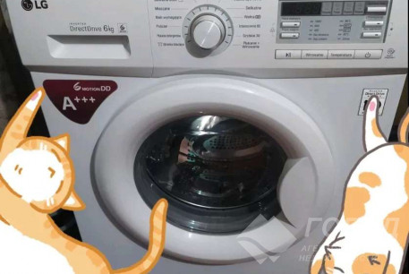 Сдам 1-кімнатну квартиру, Салтовка, Академика Павлова метро, Код: 812815/1