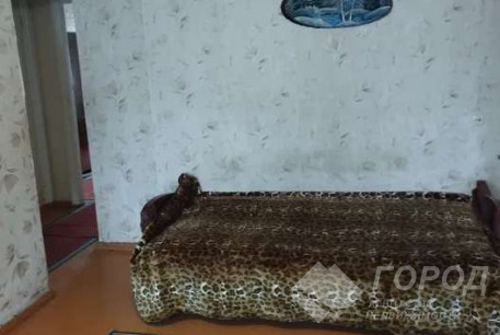 Сдам 3-х кімнатну квартиру, Холодная Гора, Код: 812817/1