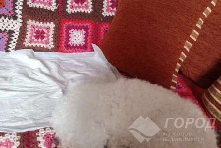 Сдам гостинку, Новые дома, Маршала Жукова метро (Дворец спорта), Код: 812837/1