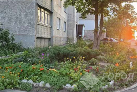 Сдам 2-х кімнатну квартиру, Северная Салтовка, Код: 812982/1