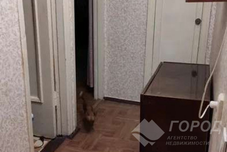 Сдам 1-кімнатну квартиру, Новые дома, Маршала Жукова метро (Дворец спорта), Код: 813034/1