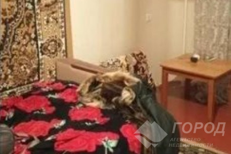 Продам 1-кімнатну квартиру, Салтовский, Код: 813236/1