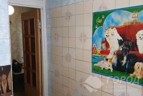 Сдам 1-кімнатну квартиру, Центр, Код: 813242/1