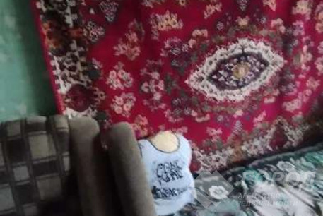 Сдам 1-кімнатну квартиру, Залютино, Код: 813529/1