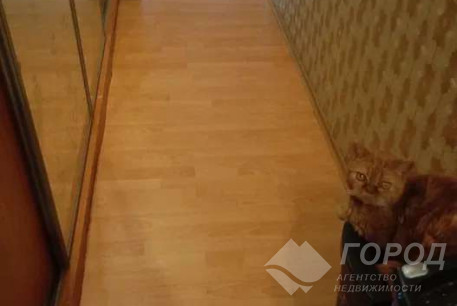 Сдам 3-х кімнатну квартиру, ХТЗ, Код: 813613/1