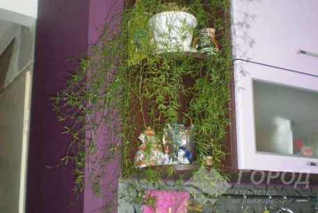 Сдам 2-х кімнатну квартиру, Салтовка, 524 м/р, Код: 813657/2