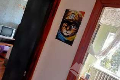 Сдам 1-кімнатну квартиру, Салтовка, 602 м/р, Код: 813685/2