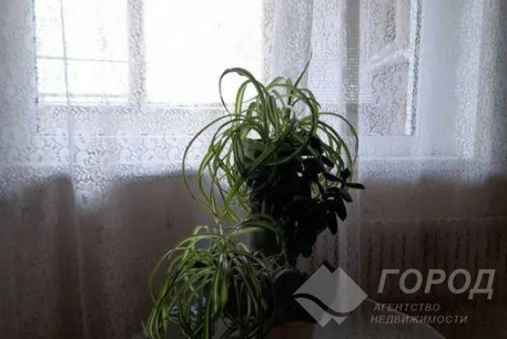 Сдам 2-х кімнатну квартиру, Алексеевка, Алексеевская метро, Код: 813741/1