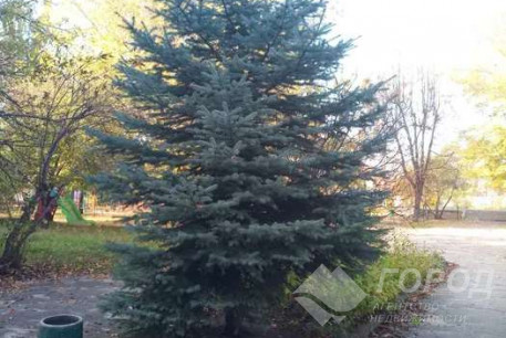 Продам 2-х кімнатну квартиру, Сосновая Горка, Шатиловка, Код: 814179/1