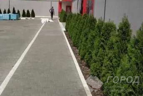 Сдам гостинку, Салтовка, Академика Павлова метро, Код: 814616/1