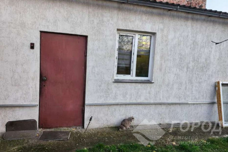 Продам 1-кімнатну квартиру, Центральный рынок, Код: 814620/1