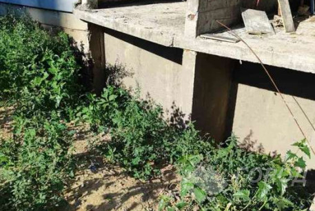 Продам 3-х кімнатну квартиру, Северная Салтовка, Северная Салтовка 5, Код: 814627/1