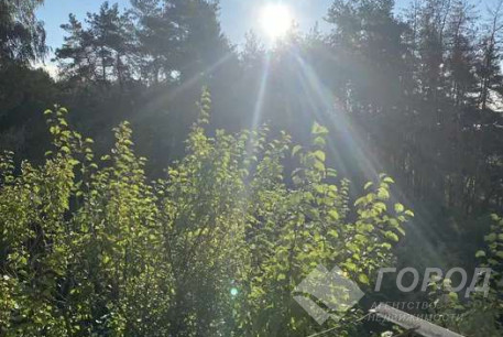 Продам 1-кімнатну квартиру, Дергачевский р-н, Подворки (Дергачевский район), Код: 814685/1