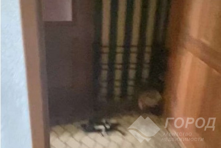 Сдам 1-кімнатну квартиру, Холодная Гора, Холодная Гора метро, Код: 814708/1