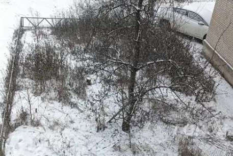 Продам 2-х кімнатну квартиру, Песочин, Надия, Код: 814796/2