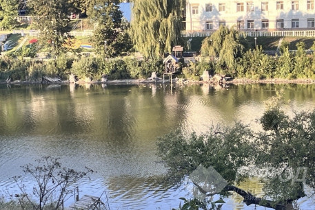 Продам дом, Харьковский р-н, Олешки (село), Код: 815198/1