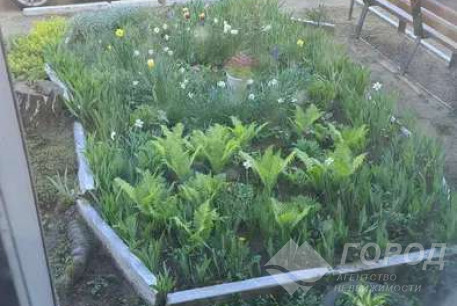 Сдам 2-х кімнатну квартиру, Алексеевка, Код: 815242/1