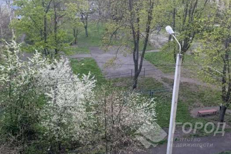 Сдам 1-кімнатну квартиру, Салтовка, Студенческая метро, Код: 815627/1