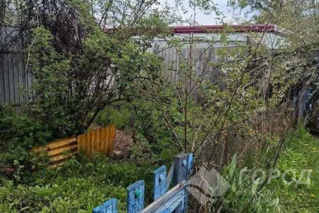 Продам 2-х кімнатну квартиру, Холодная Гора, Код: 816002/1