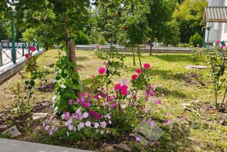 Сдам 2-х кімнатну квартиру в новобудові, Алексеевка, Код: 816746/1