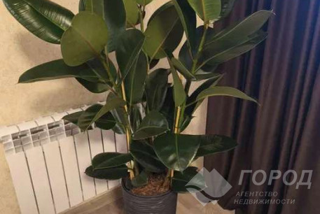 Продам 1-кімнатну квартиру, Новые дома, Армейская метро (Советской Армии), Код: 816762/1